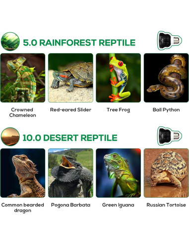 Bombilla UVB 5.5W Hygger Zoo para Reptiles - Espectro Completo