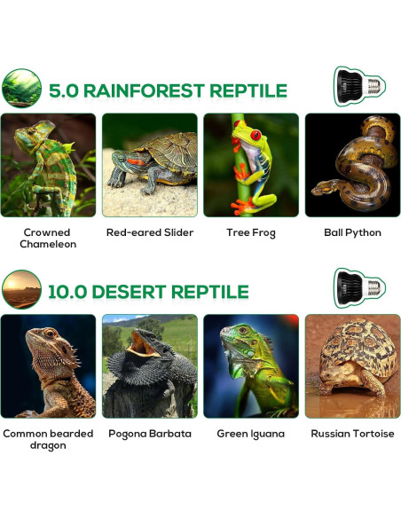 Bombilla UVB 5.5W Hygger Zoo para Reptiles - Espectro Completo