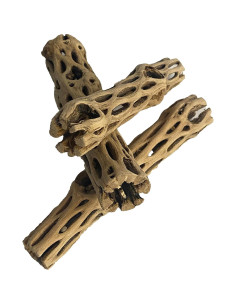 Madera Cholla Natural 3 Piezas 15 cm Increíble Acuático 2