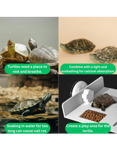 Set Plataforma de Sol y Patineta para Tortugas PurrrfectionPet 2