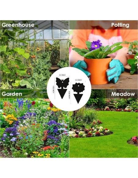 Trampas Adhesivas para Moscas de Fruta Springco - 115 Piezas