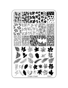 4 Placas de Estampado de Uñas XL HaiQiang con Organizador 2