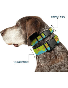 Collar para Perro Scooby Doo Buckle-Down 24.1-33 cm 2.5 cm 2
