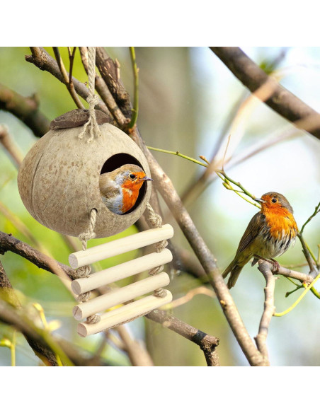 Nido de Pájaro de Cáscara de Coco CZWESTC con Escalera