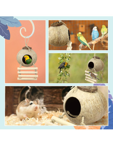 Nido de Pájaro de Cáscara de Coco CZWESTC con Escalera