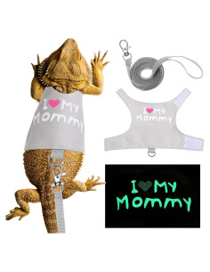 Set Arnés y Correa Luminiscente Wesnoy para Dragón Barbudo