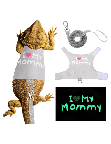 Set Arnés y Correa Luminiscente Wesnoy para Dragón Barbudo