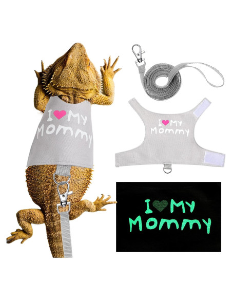 Set Arnés y Correa Luminiscente Wesnoy para Dragón Barbudo