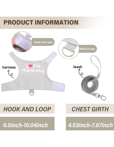 Set Arnés y Correa Luminiscente Wesnoy para Dragón Barbudo