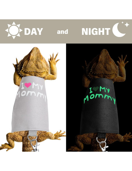 Set Arnés y Correa Luminiscente Wesnoy para Dragón Barbudo