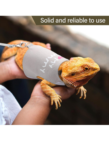 Set Arnés y Correa Luminiscente Wesnoy para Dragón Barbudo