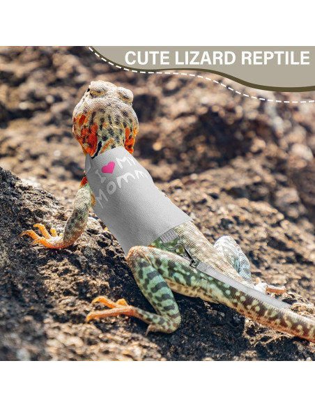 Set Arnés y Correa Luminiscente Wesnoy para Dragón Barbudo