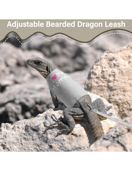 Set Arnés y Correa Luminiscente Wesnoy para Dragón Barbudo