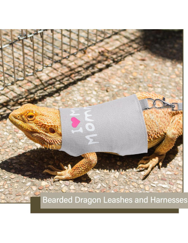 Set Arnés y Correa Luminiscente Wesnoy para Dragón Barbudo