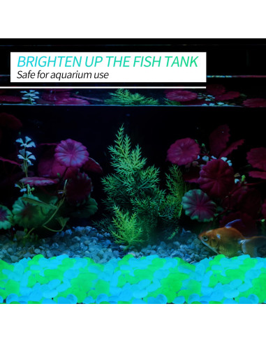 900 Rocas Brillantes en la Oscuridad Oubest - Decoración Jardín