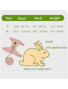 Conjunto Arnés y Correa Ajustable WEWAYKGJ para Conejos Azul 2