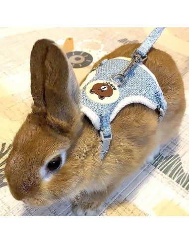 Conjunto Arnés y Correa Ajustable WEWAYKGJ para Conejos Azul