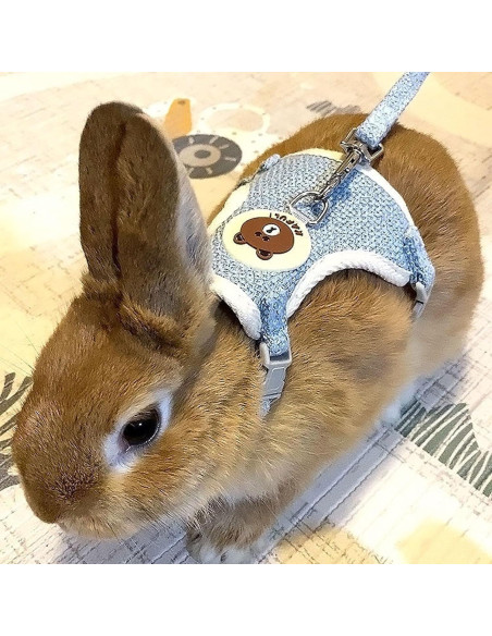 Conjunto Arnés y Correa Ajustable WEWAYKGJ para Conejos Azul Conjunto Arnés y Correa Ajustable WEWAYKGJ para Conejos Azul
