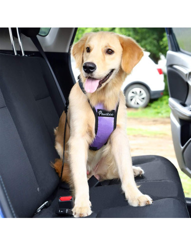 Cinturón de Seguridad para Perros Pawaboo 66 cm Negro