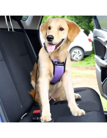 Cinturón de Seguridad para Perros Pawaboo 66 cm Negro