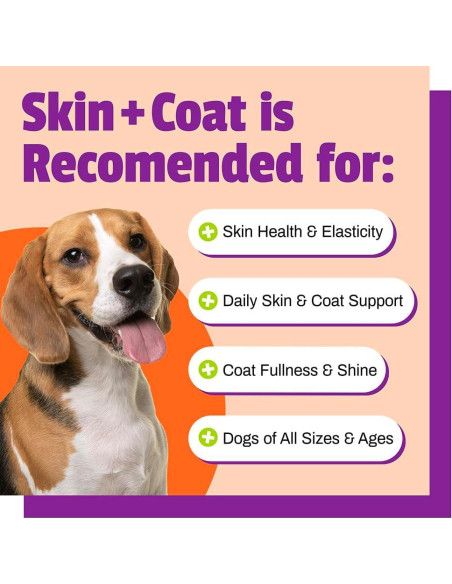 Pet Naturals Suplemento para Perros Piel y Abrigo 30 Masticables