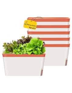 Macetas Autorriego GardenBasix 6 Piezas Rectangulares 28x12.7cm