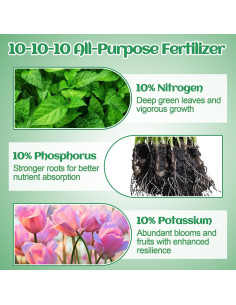 Fertilizante Granulado Bigmeta 10-10-10 0.5L para Jardinería 2