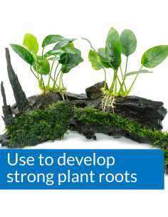 Fertilizante para Plantas de Acuario API ROOT TABS 10 Tablet 28.93g 2