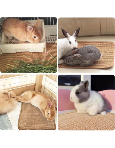 Alfombrilla de Rascado para Conejos Mooydee 40x30cm 2 Piezas