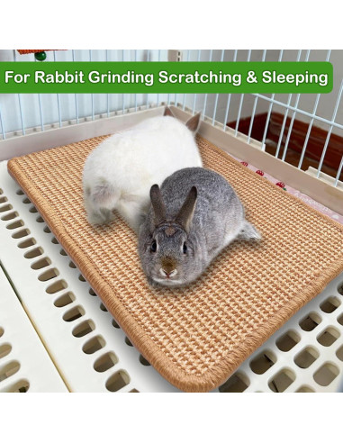 Alfombrilla de Rascado para Conejos Mooydee 40x30cm 2 Piezas