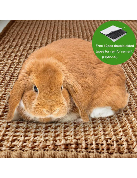 Alfombrilla de Rascado para Conejos Mooydee 40x30cm 2 Piezas
