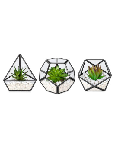 Terrario Geométrico de Vidrio Mkono - 3 Suculentas Artificiales