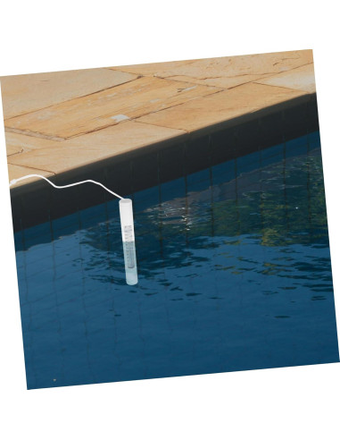 Termómetro de Piscina Flotante BESPORTBLE Impermeable 16.5cm