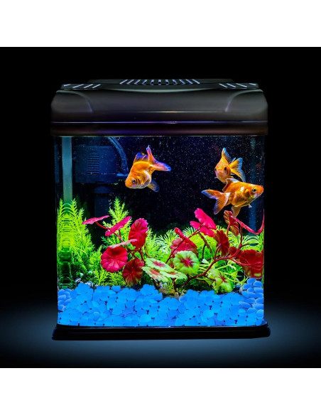 Piedras Brillantes en la Oscuridad NAMTSO 500 Piezas Azul Piedras Brillantes en la Oscuridad NAMTSO 500 Piezas Azul