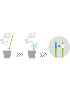 Sensor de Humedad del Suelo SUSTEE Aquameter Set de 5 Verde 2