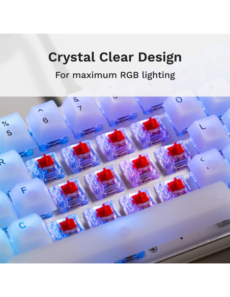 Interruptores mecánicos Glorious Fox 110 PCS 3 pines preengrasados