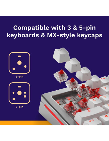 Interruptores mecánicos Glorious Fox 110 PCS 3 pines preengrasados