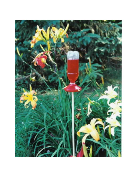 Alimentador de Colibríes Colgante Gadjit Rojo - Reutiliza Botellas