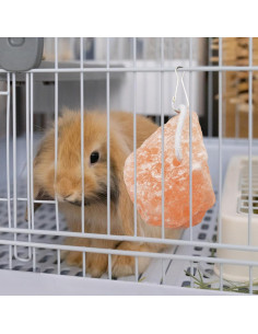 Bloques de Sal Himalayo para Conejos PINVNBY - 4 Piezas 2