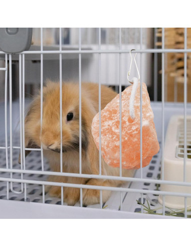 Bloques de Sal Himalayo para Conejos PINVNBY - 4 Piezas