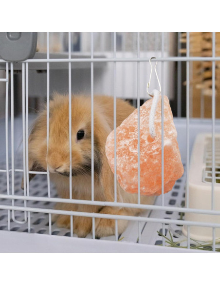 Bloques de Sal Himalayo para Conejos PINVNBY - 4 Piezas