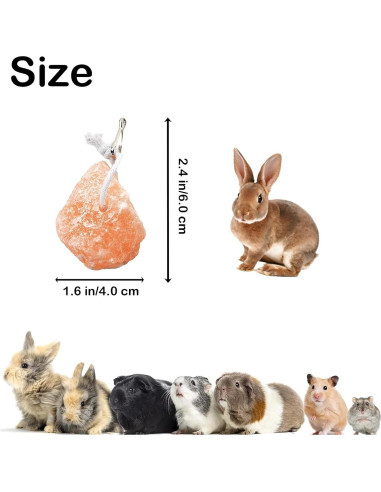 Bloques de Sal Himalayo para Conejos PINVNBY - 4 Piezas
