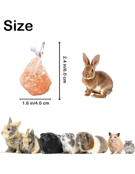 Bloques de Sal Himalayo para Conejos PINVNBY - 4 Piezas