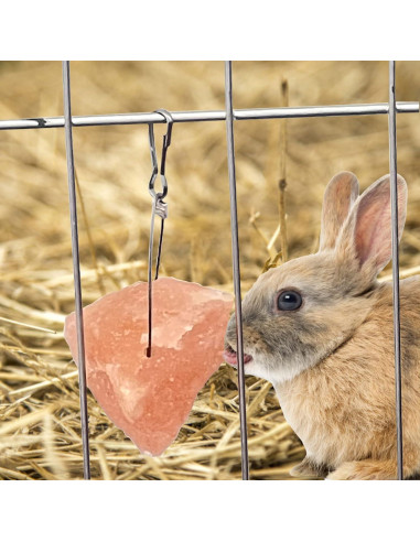 Bloques de Sal Himalayo para Conejos PINVNBY - 4 Piezas