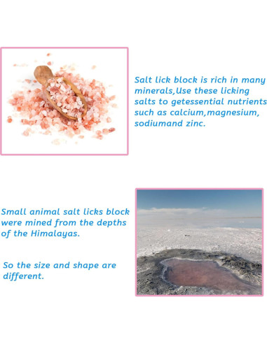Bloques de Sal Himalayo para Conejos PINVNBY - 4 Piezas