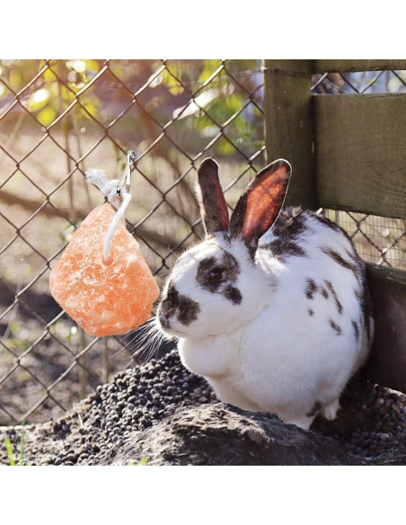 Bloques de Sal Himalayo para Conejos PINVNBY - 4 Piezas