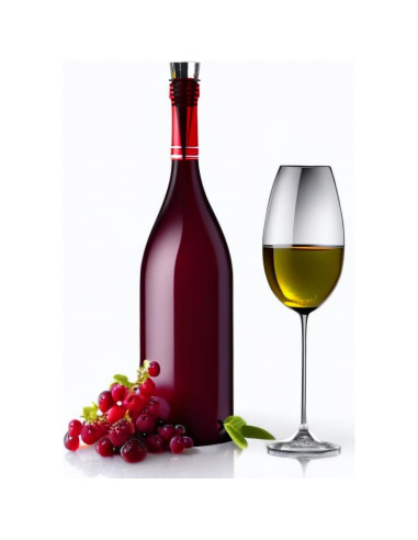 Tapones de vino reutilizables ENLAYER 12 Pcs acero y goma