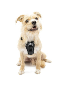 Arnés para Perros Kurgo Tru-Fit Smart Pequeño Negro