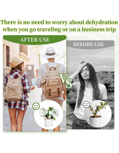 3 Esferas de Riego Automático Gewosi 500 ml para Plantas