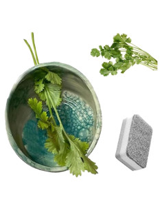 Tazón Deshojador de Hierbas Cerámica Hamblin Brothers 10x10cm